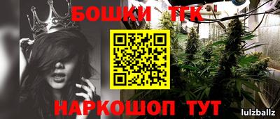 прущие крисы Гудермес
