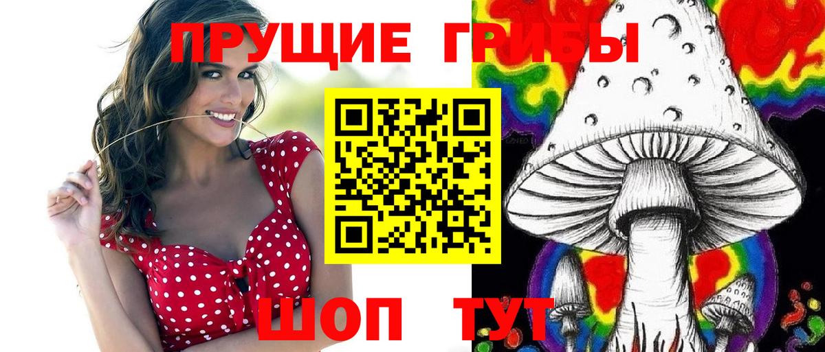 Псилоцибиновые грибы Psilocybe Великие Луки